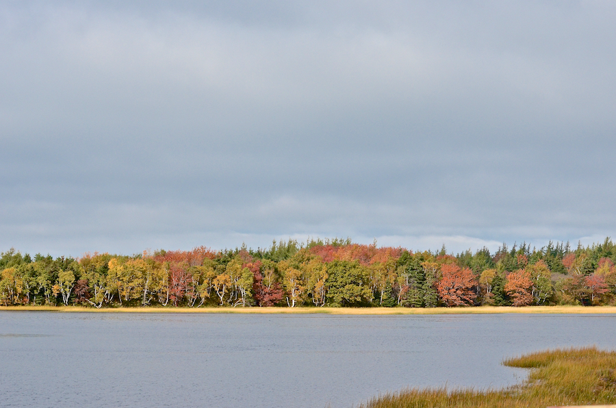 Autumn colours on Indian Point