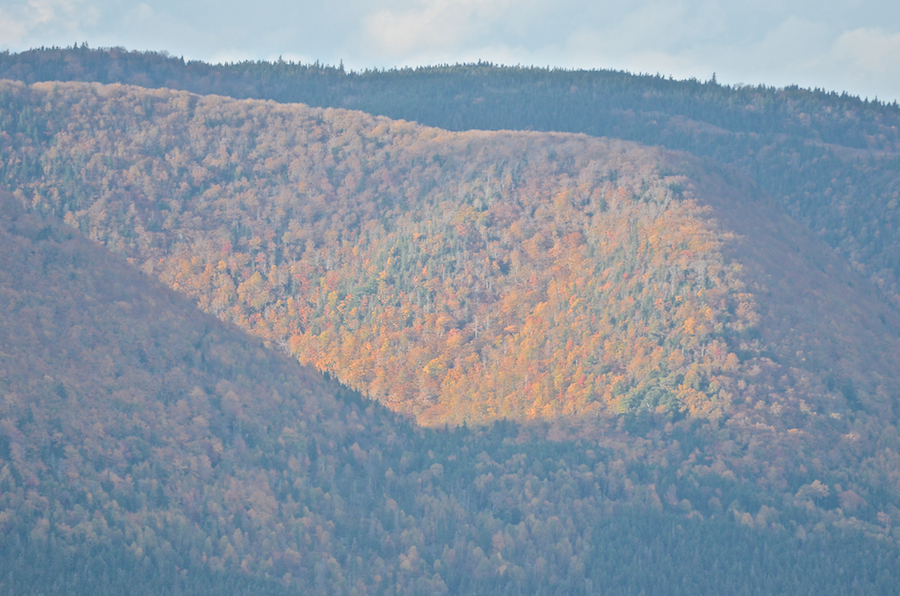 A colourful fold in Murray Mountain in the late afternoon sun