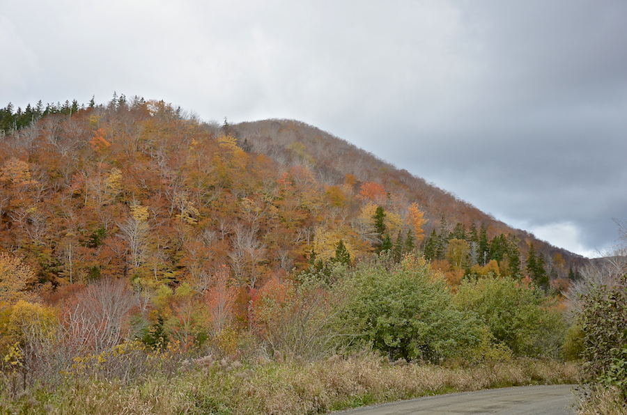 Cape Mabou “Knobs” from the Glenora Falls Road