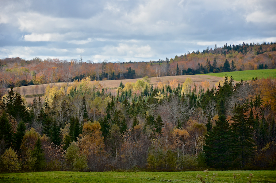 Hawleys Hill from the Smithville Road