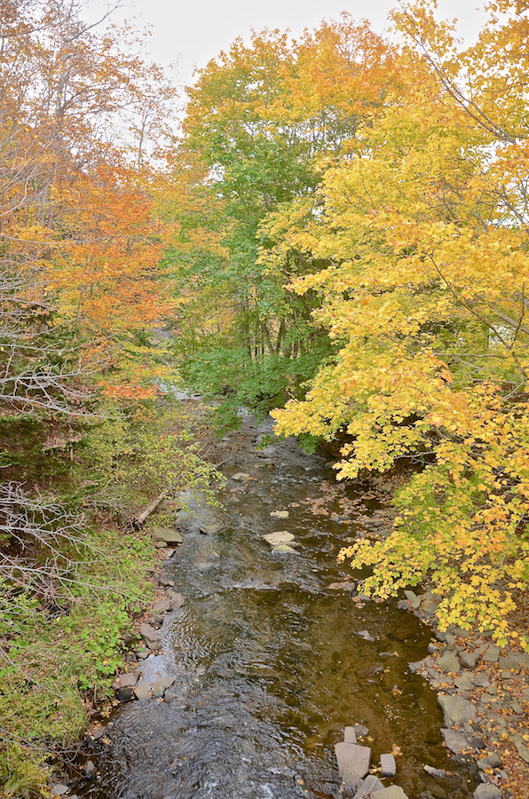 Glendyer Brook from the bridge on the Smithville Road