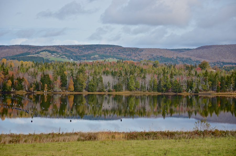 West Mabou Panorama: Part 5