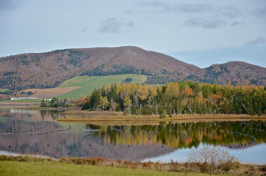 West Mabou Panorama: Part 3