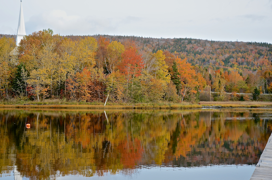 Colourful trees along the Mabou River