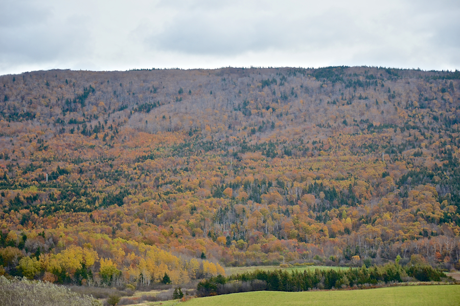 Hillside of the Cape Breton Highlands at St-Joseph-du-Moine