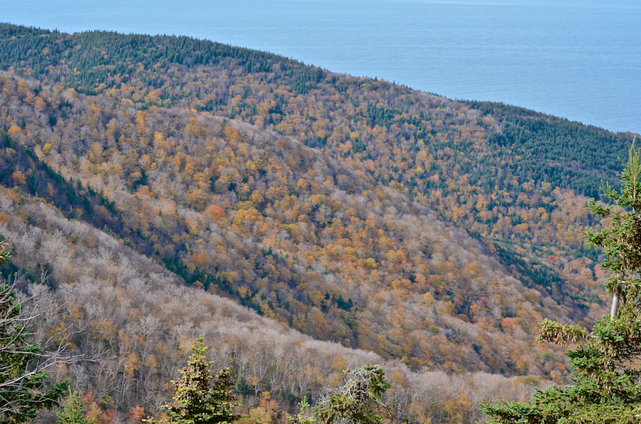 The Cape Breton Highlands on the south side of the Fishing Cove River