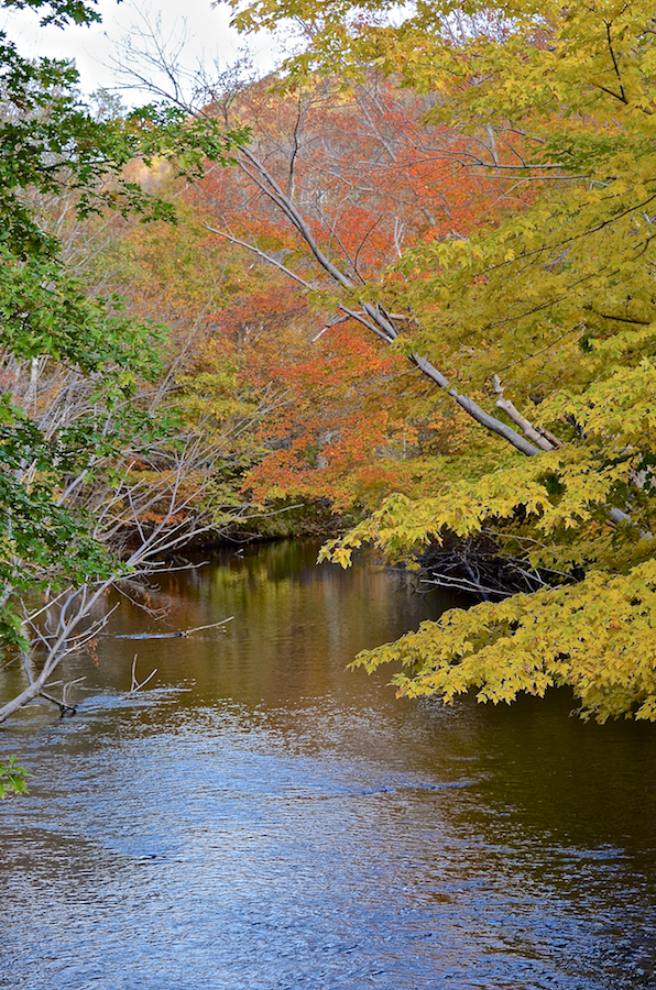 The Grande-Anse River from the Pleasant Bay Road Bridge