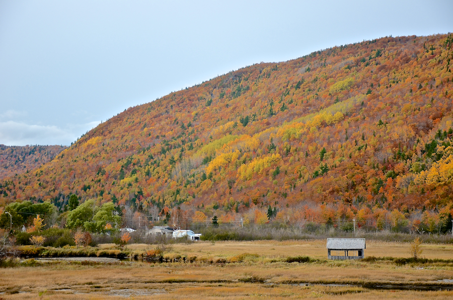 The Cape Breton Highlands above the Ingonish River