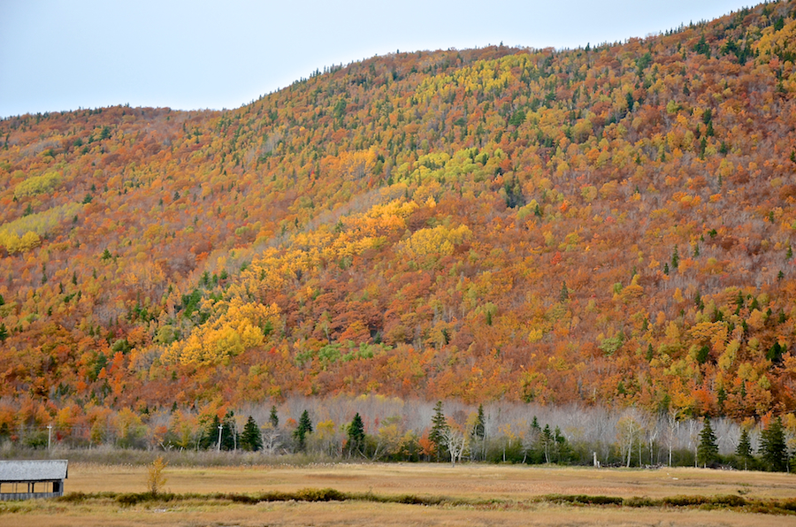 The Cape Breton Highlands above the Ingonish River