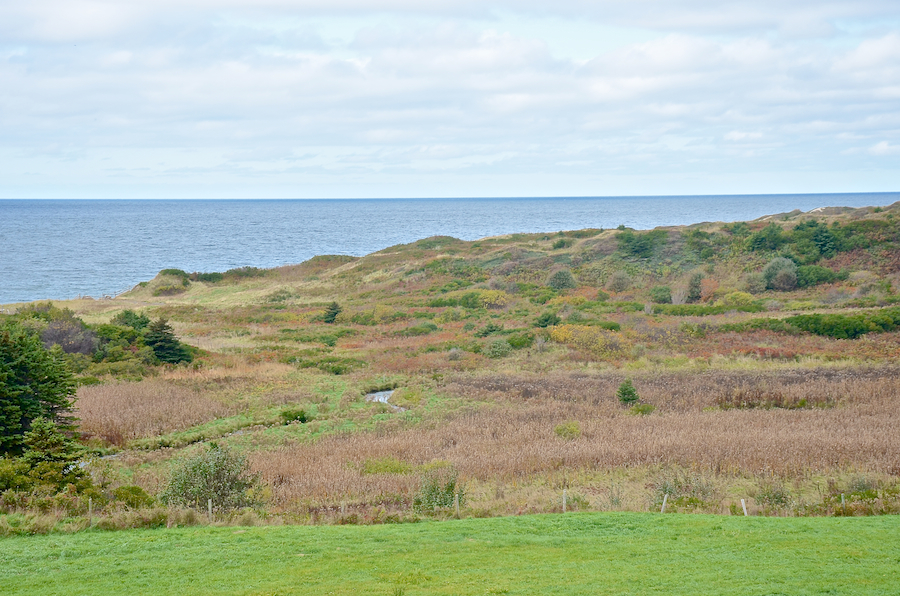 The coast at MacDonalds Glen