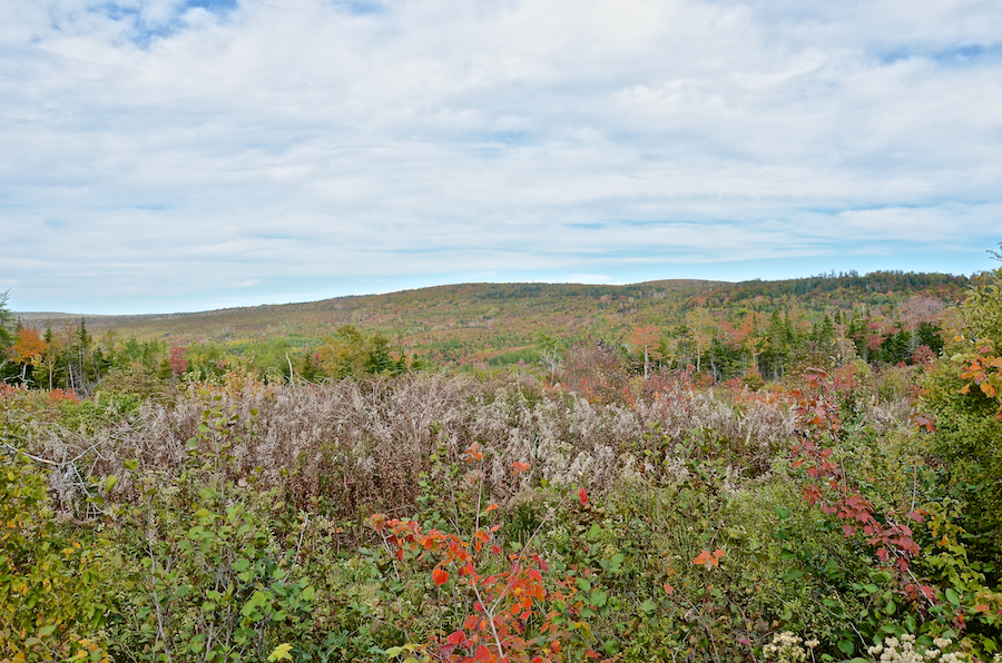 Looking across the Miramichi Brook Valley to the “Rosedale Ridge”