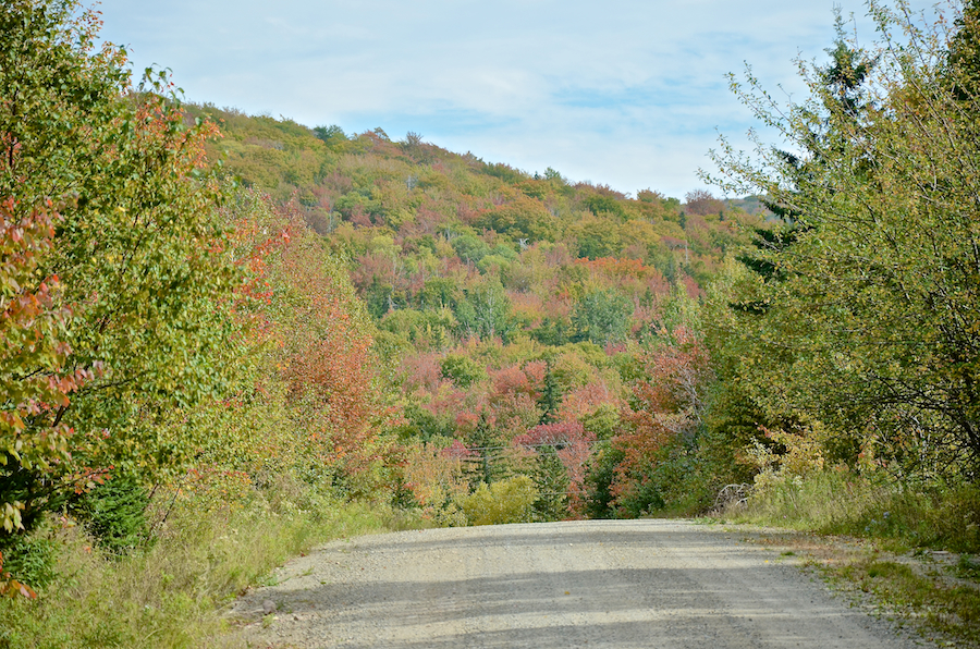 Early colours on Whycocomagh Mountain as seen from the East Skye Glen Road