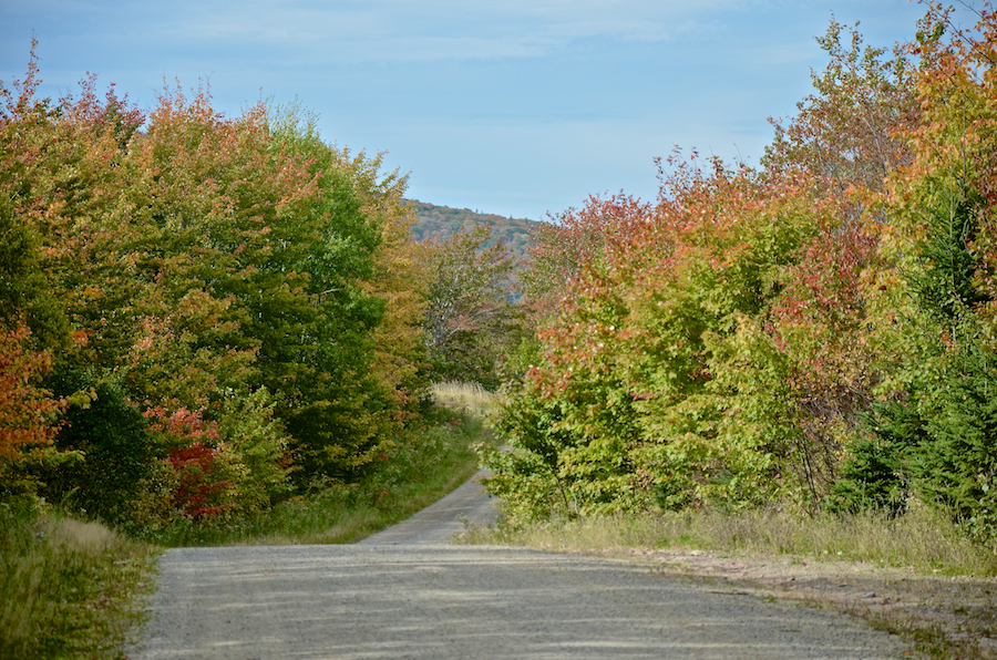 Early colours along the East Skye Glen Road