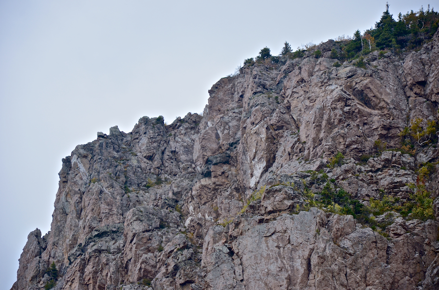 Detail of La Grande Falaise