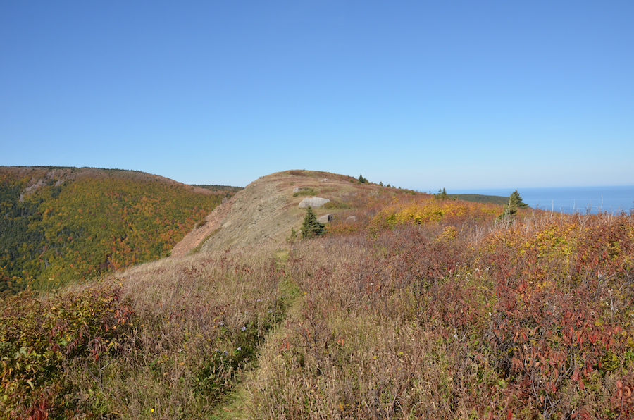 The north summit of Meat Cove Mountain