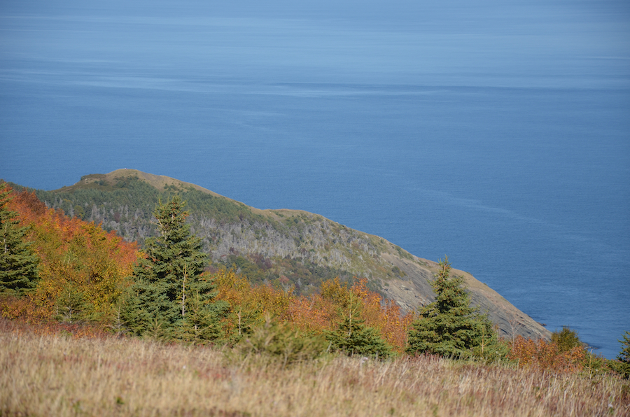 Little Grassy seen from across the northern slope of the north summit of Meat Cove Mountain