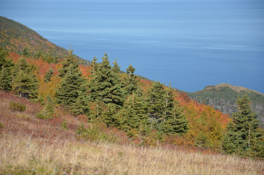The western Highlands descend to Little Grassy across the northern slope of the north summit of Meat Cove Mountain