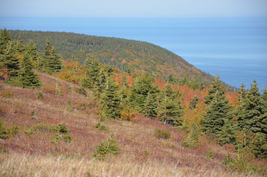 The western Highlands seen across the northern slope of the north summit of Meat Cove Mountain