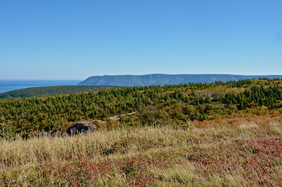 The Cape North Massif from the north summit of Meat Cove Mountain