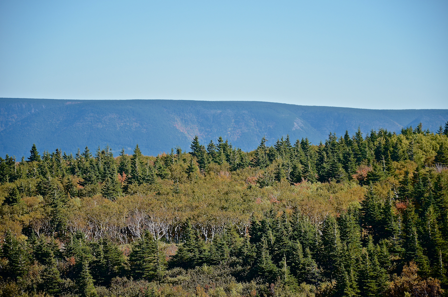 Part four of the Cape North Massif panorama