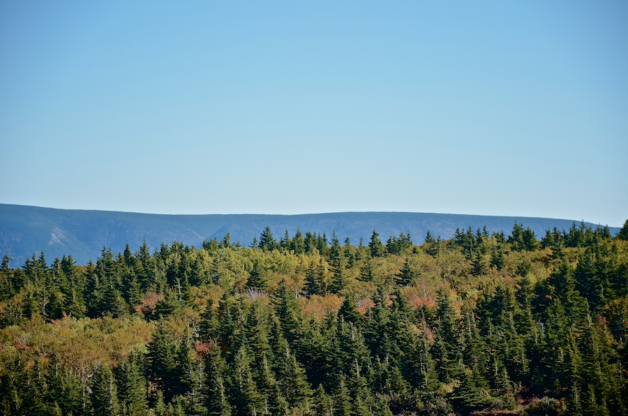 Part five of the Cape North Massif panorama