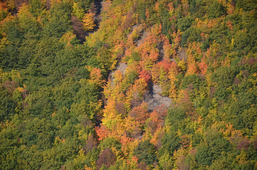 Fall foliage on the western Highlands as seen from Meat Cove Mountain