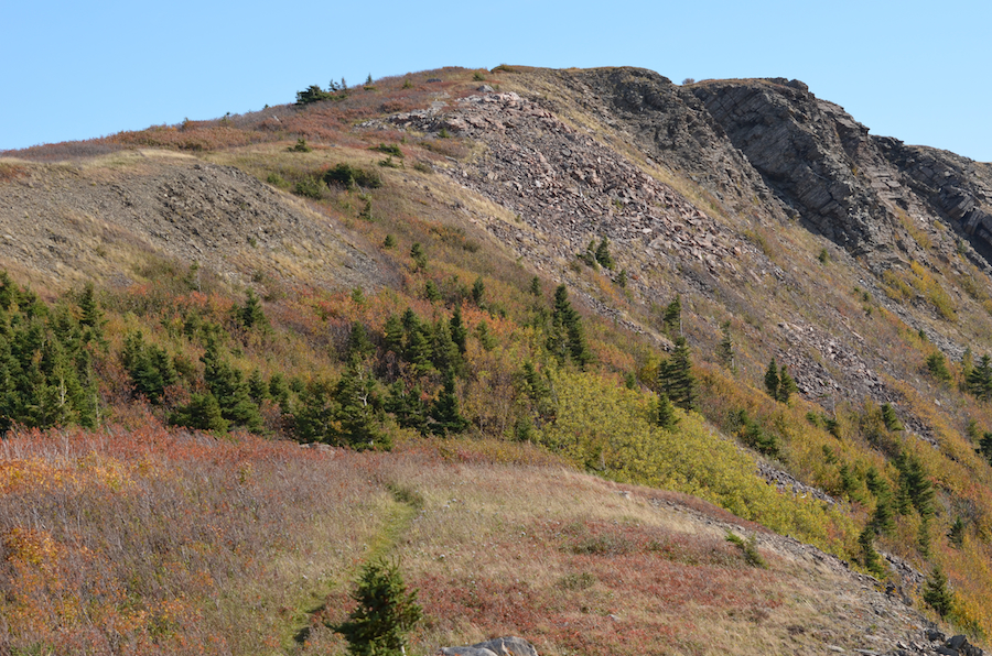 The south summit of Meat Cove Mountain
