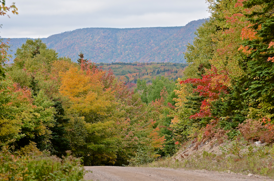 North Mountain and the colours along the South Ridge Road