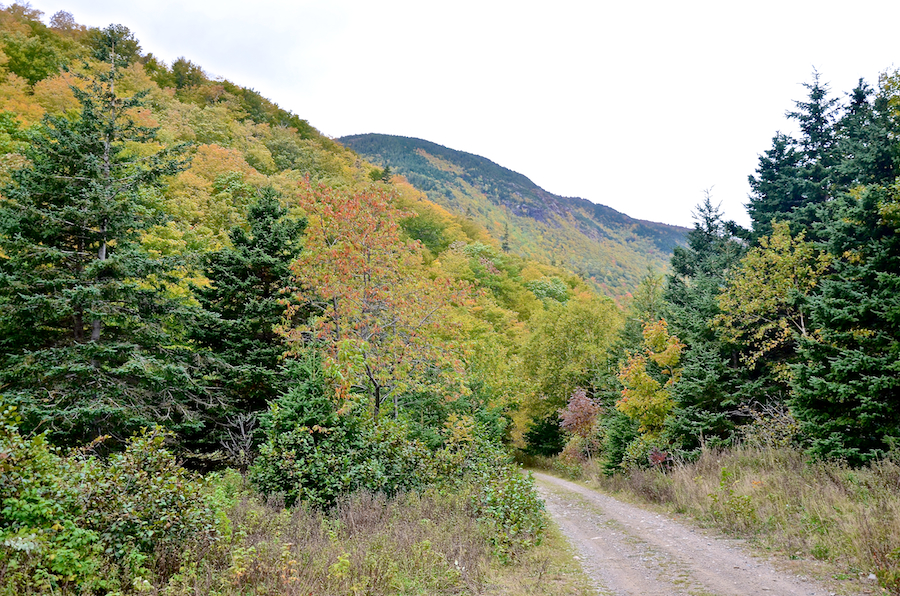 The Hinkley Glen Road below the slopes of Andrews Mountain