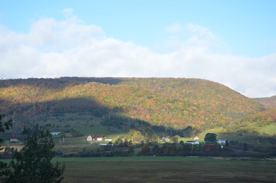 The highlands on the west side of the Margaree River