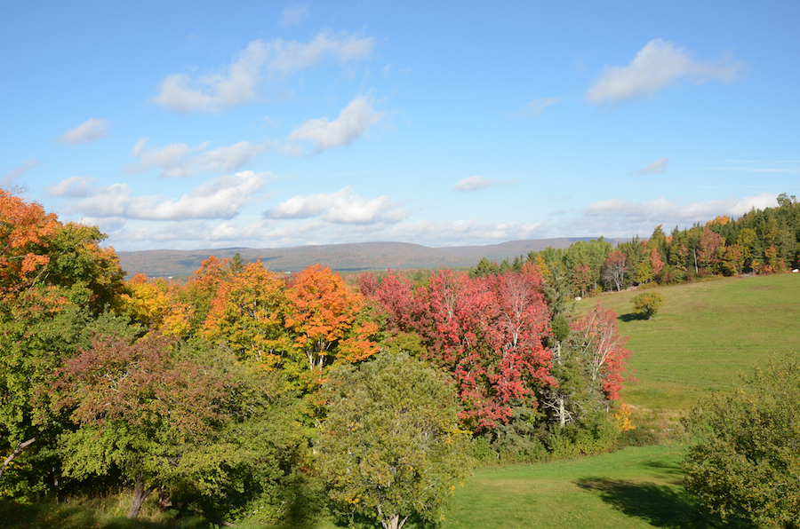 The Margaree Highlands from Egypt Road