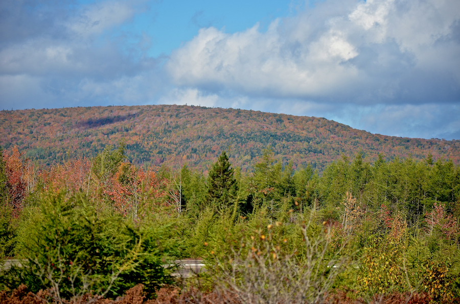 Phillips Mountain from beside the Margaree Airport runway