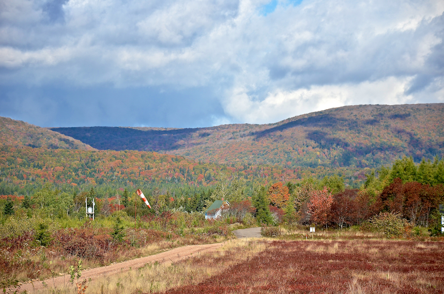 Hogsback Hill and the Margaree Highlands from beside the Margaree Airport runway