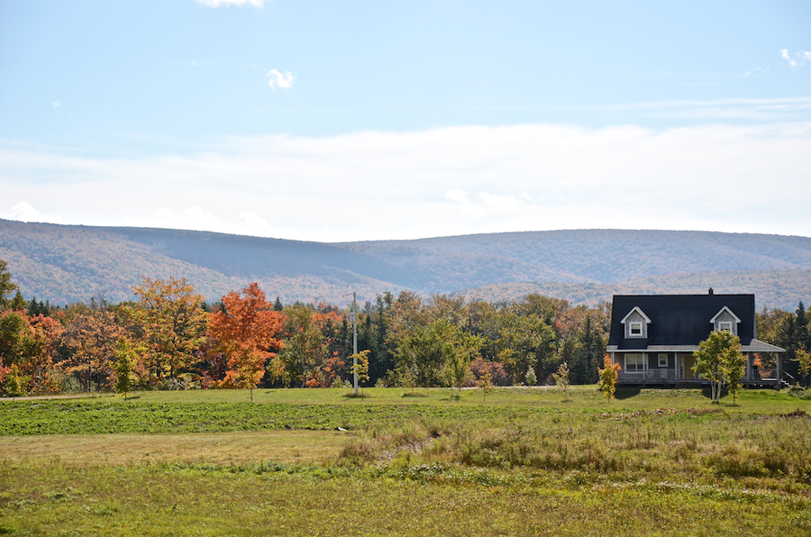 The Margaree Highlands from the junction of the Marsh Brook and West Big Intervale Roads