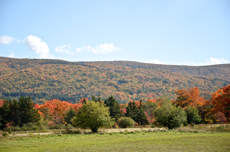 The Margaree Highlands from the junction of the Marsh Brook and West Big Intervale Roads