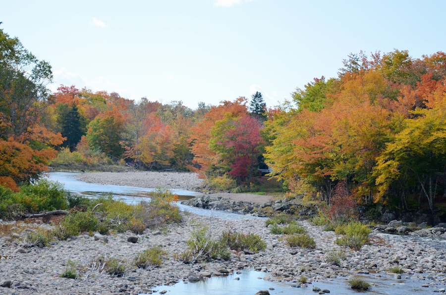 Colours along the Northeast Margaree River in Portree
