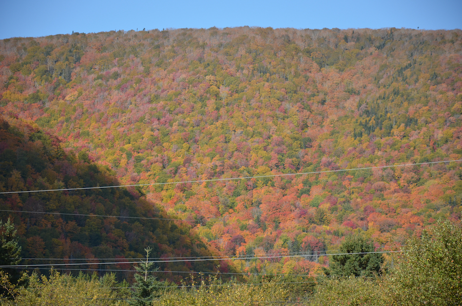 Detail of the colour on the Highlands west of Kingross