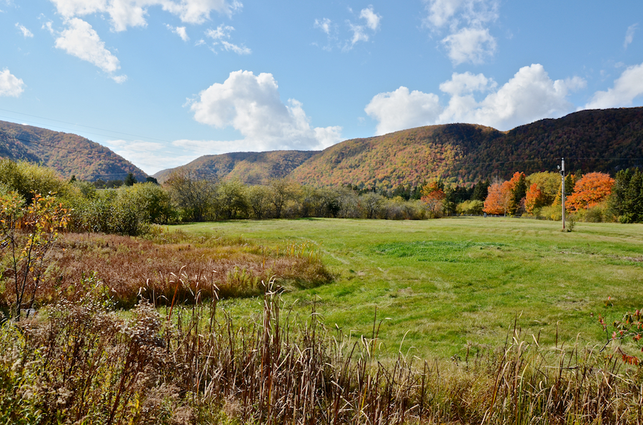 The Highlands west of the Northeast Margaree River from Kingross