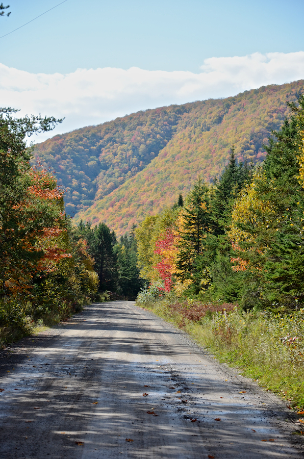 Looking south along the West Big Intervale Road from Big Intervale