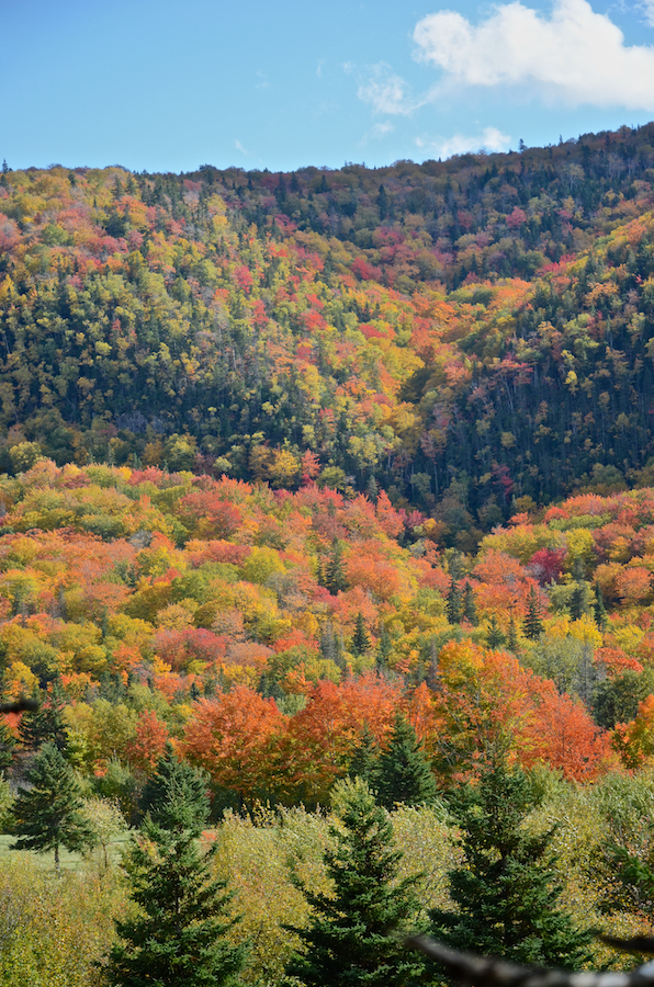 Looking across the Northeast Margaree River at the side of Sugarloaf Mountain