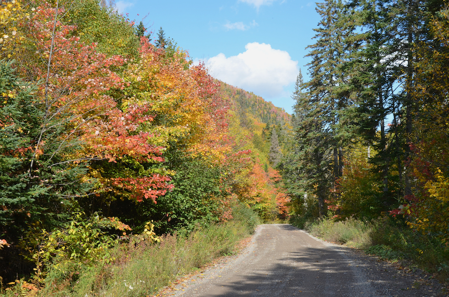 Looking north along the West Big Intervale Road