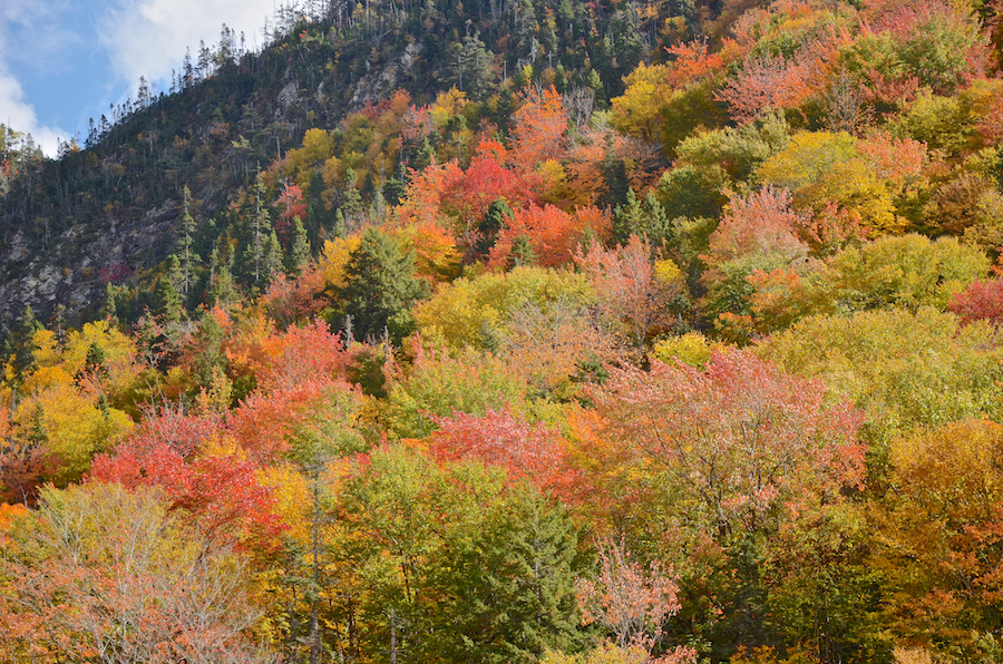 Colours on the Margaree Highlands above the Big Intervale Fishing Lodge