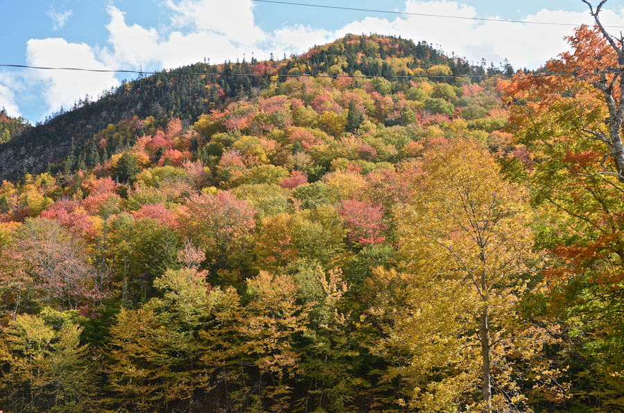 Colours on the Margaree Highlands above the Big Intervale Fishing Lodge