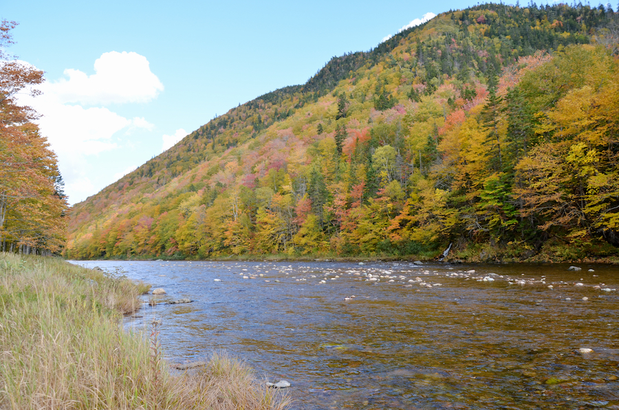 Looking upstream at the Northeast Margaree River from the Big Intervale Fishing Lodge