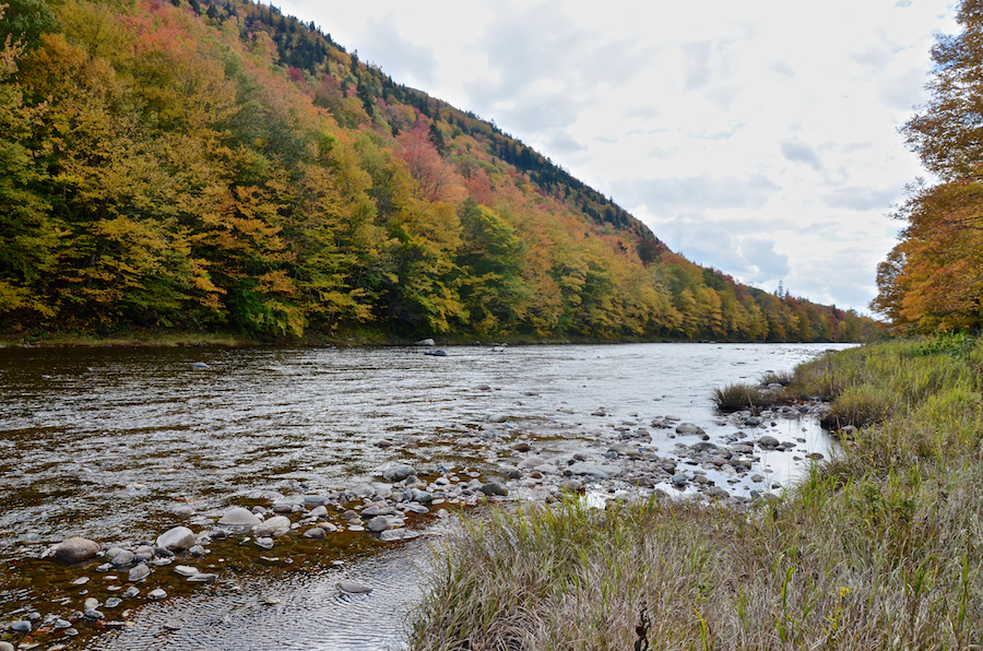 Looking downstream at the Northeast Margaree River from the Big Intervale Fishing Lodge