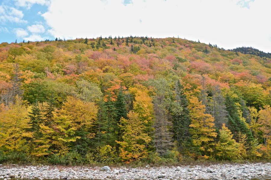 Sugarloaf Mountain above the Northeast Margaree River