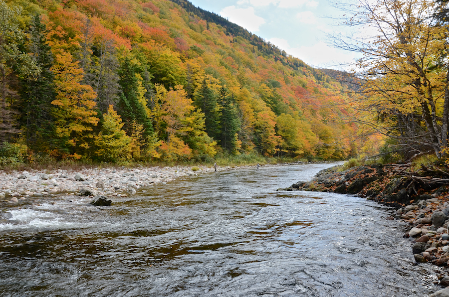 Looking downstream at the Northeast Margaree River from north of Wards Pool