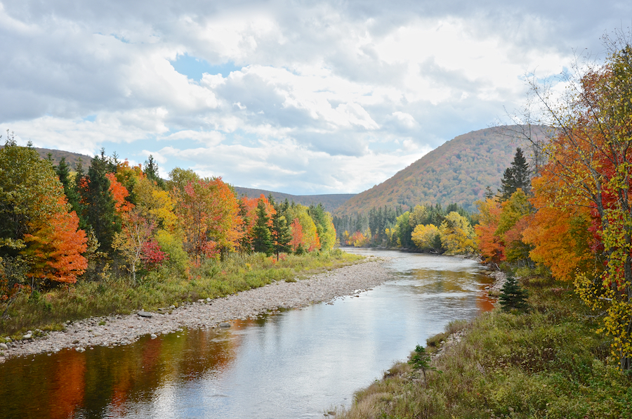 Looking downstream at the Northeast Margaree River from the bridge in Big Intervale