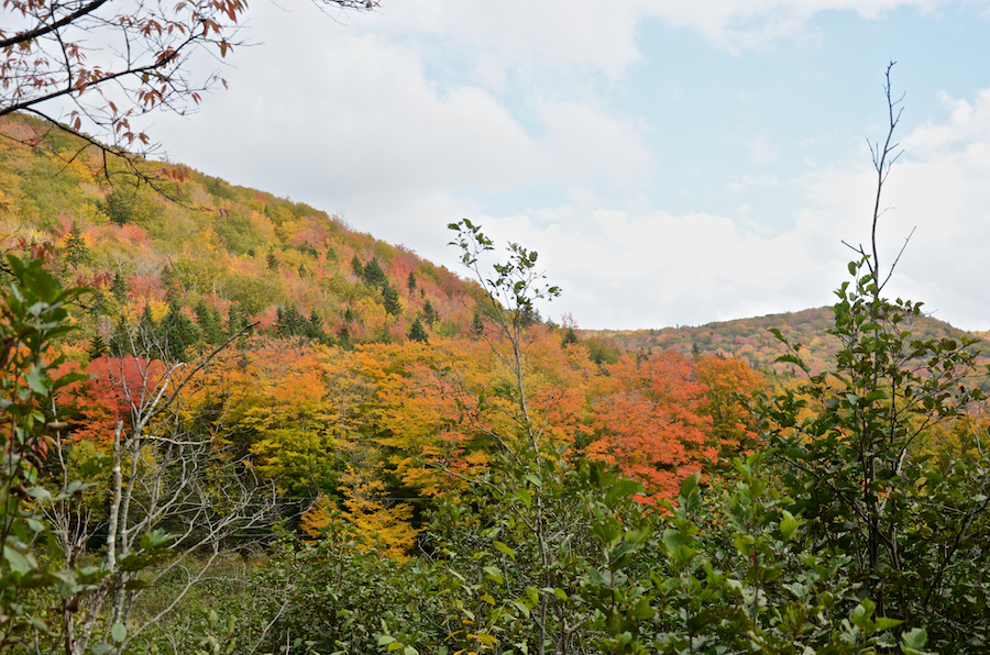 MacLeods Mountain seen from the East Big Intervale Road