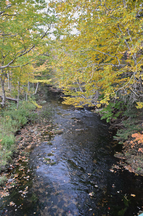 Looking downstream at Ingram Brook on the East Big Intervale Road south of Rivulet